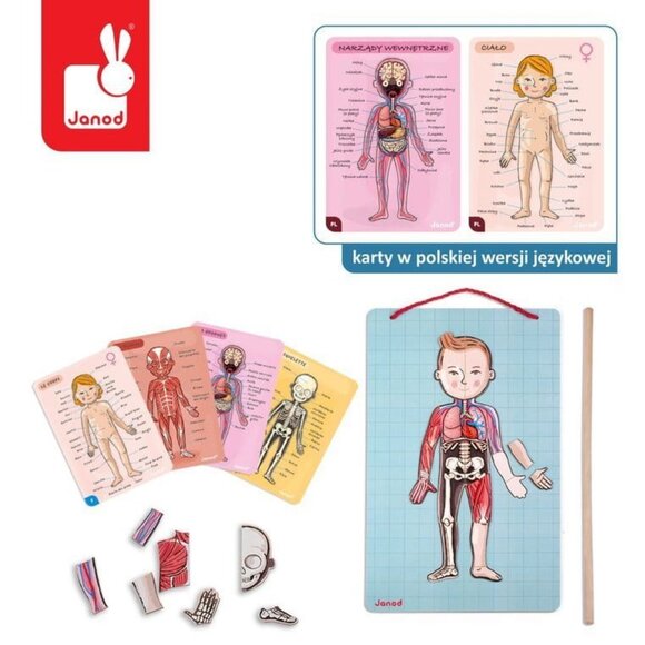Janod-Body Magnet Human Body Game Magnetic Anatomy Puzzle For Age 7+ New in Box - Picture 8 of 16